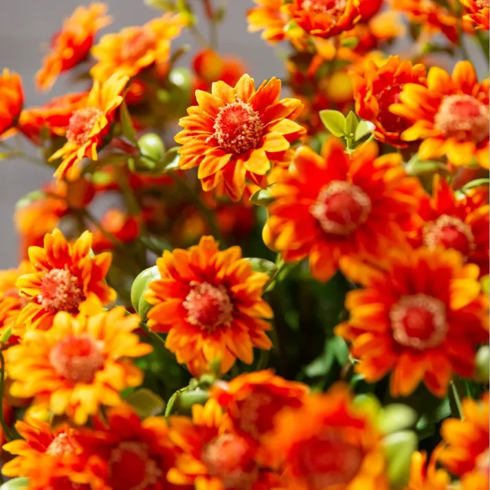 💥Last Day Each(Only $4.79 per bundle!)- Artificial Outdoor Sunset Mums Flowers - Waterproof, Windproof