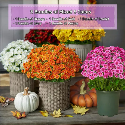 💥Last Day Each(Only $4.79 per bundle!)- Artificial Outdoor Sunset Mums Flowers -  Waterproof, Windproof