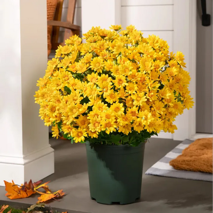 💥Last Day Each(Only $4.79 per bundle!)- Artificial Outdoor Sunset Mums Flowers -  Waterproof, Windproof